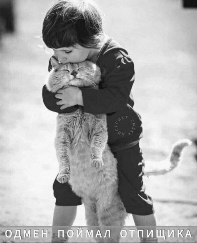 Веселое настроение в картинках 27.07.25