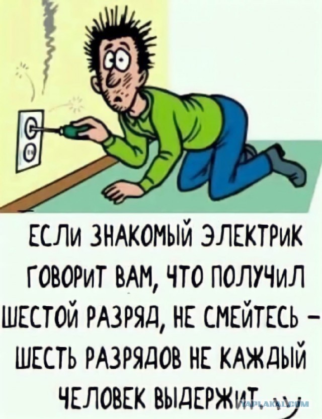 Веселые картинки во вторник (29.07)