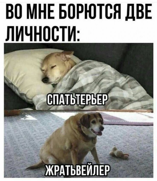 Веселое настроение в картинках (06.10.2025)