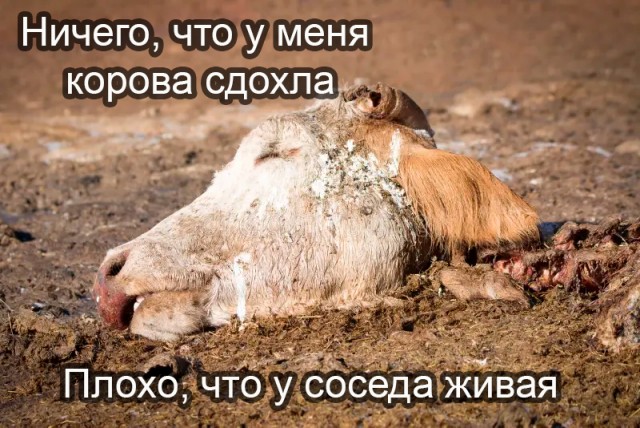 К ЯПу тоже относится