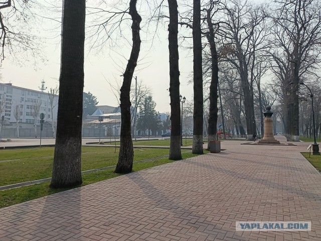 Прогулка выходного дня из города к замёрзшему водопаду на высоте 2900НУМ и обратно.