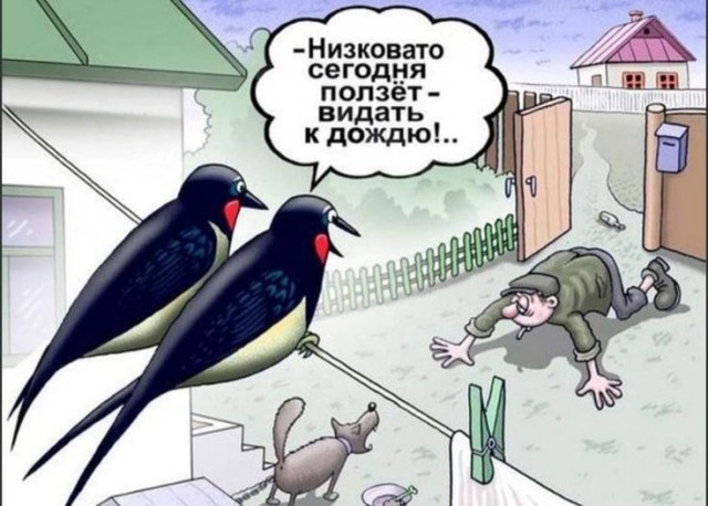 Плохая новость для тех, кто ждет весну