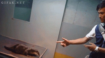 "Ой, боюсь боюсь!"