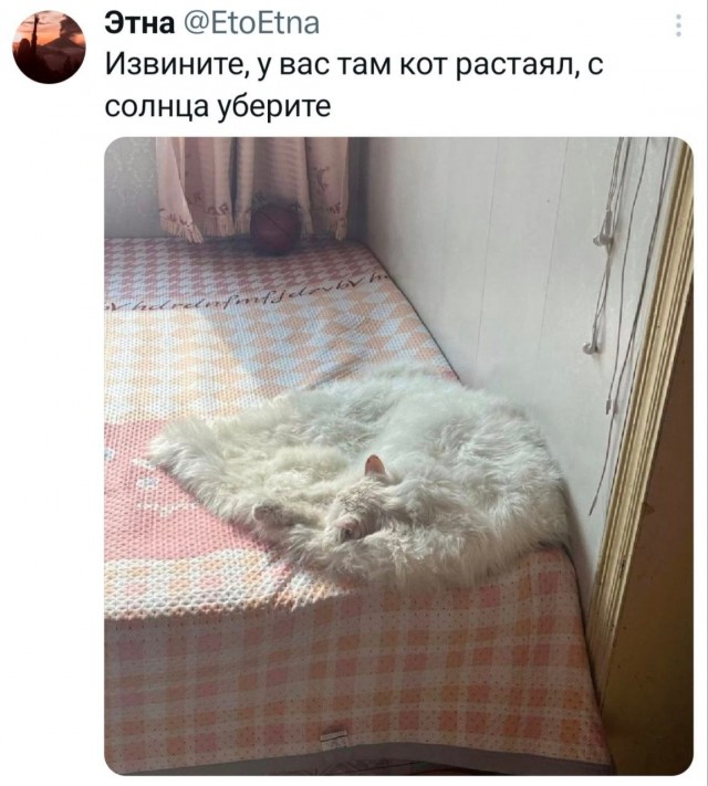 Картинки для деградации 173 (разной степени свежести)