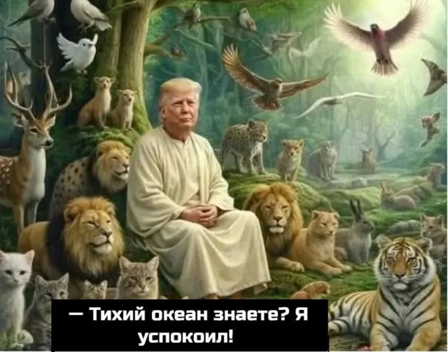Министр торговли Турции: союзники по НАТО не "обязаны" помогать США в войне с Ираном