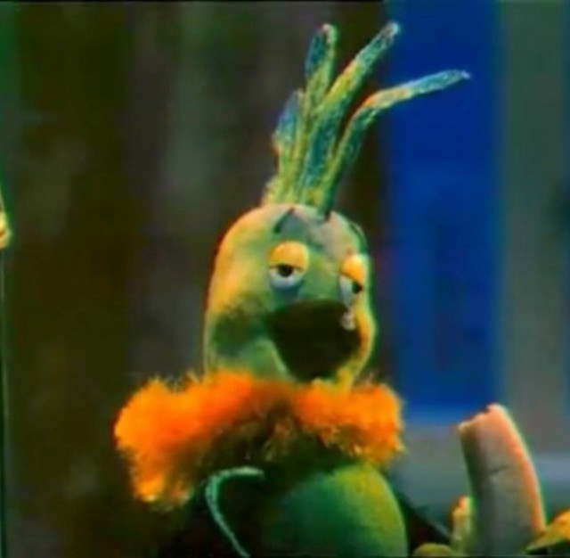 Попугай алкоголик