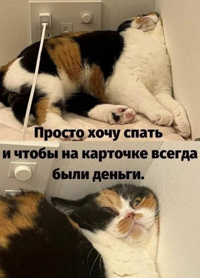 20986120.jpg