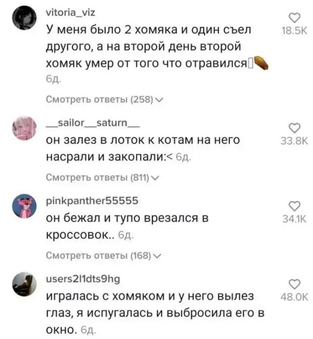 Хомяк живет три года.