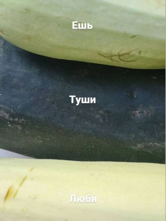 Картиночки, баянчики 15 августа