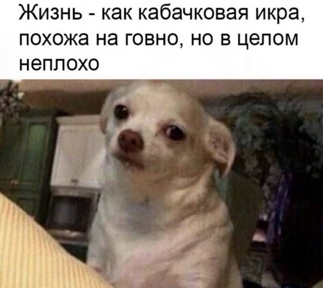 Картинки для деградации 274 (разной степени свежести)