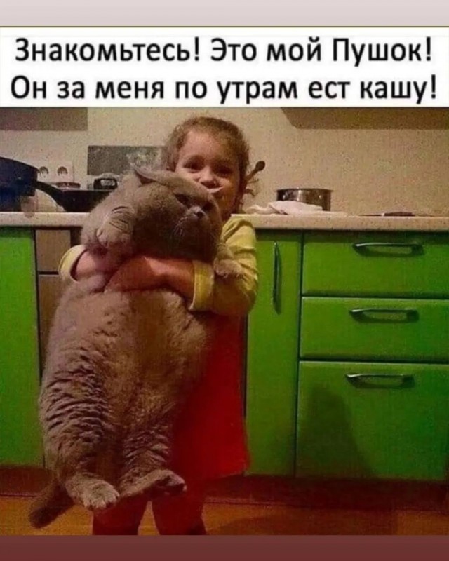 Веселые картинки в маленькую пятницу (14.10)