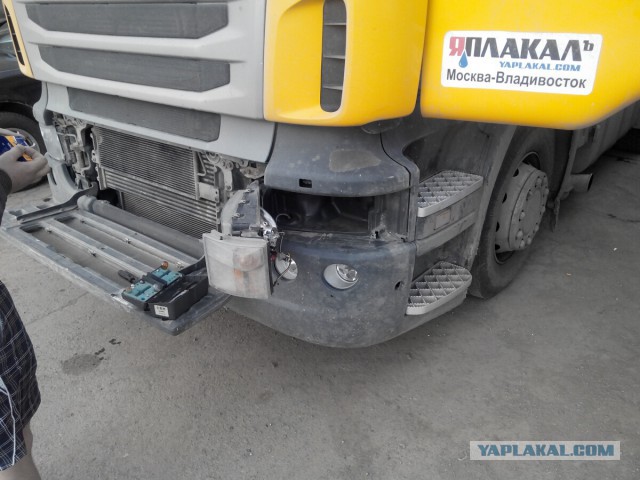 Странствия желтой скамейки)