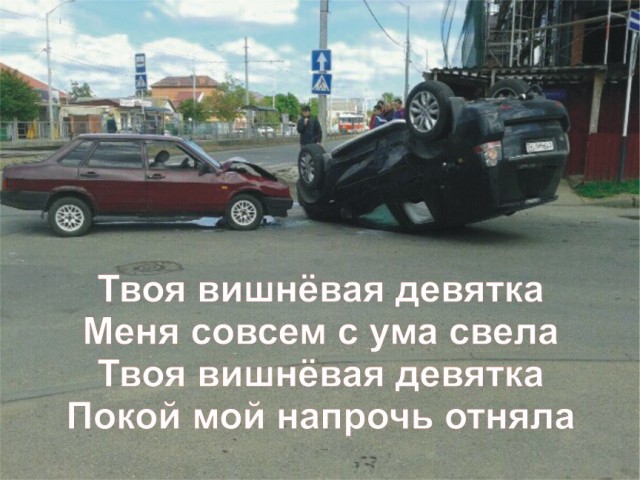 Прикольные картинки