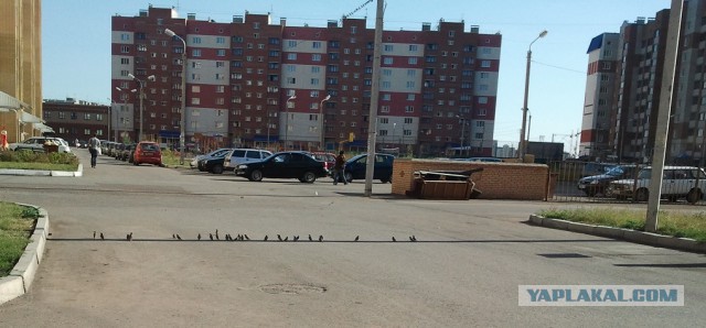 Жаркий денек.