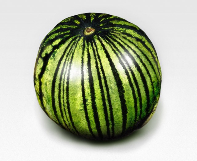 Плюсомет со шпалометом