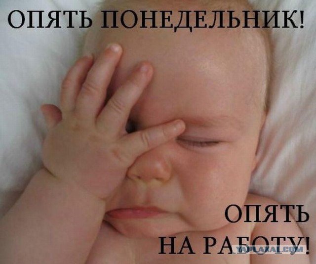 Утро понедельника