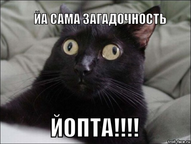 20 самых известных котов в интернете.