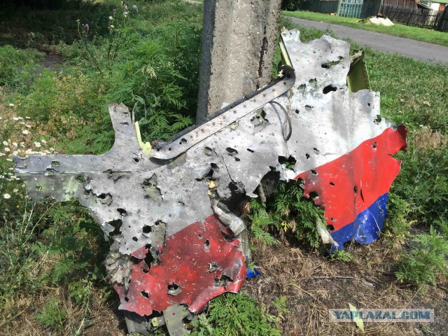HM-17