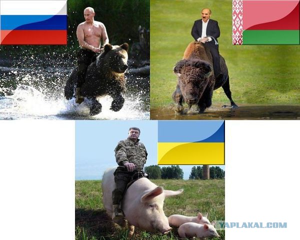 Три богатыря...