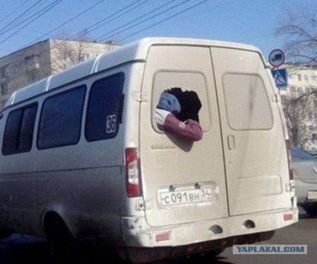 Подборка прикольных фото из сети