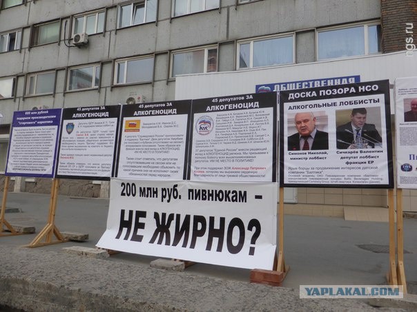 В Новосибирске прошел пикет