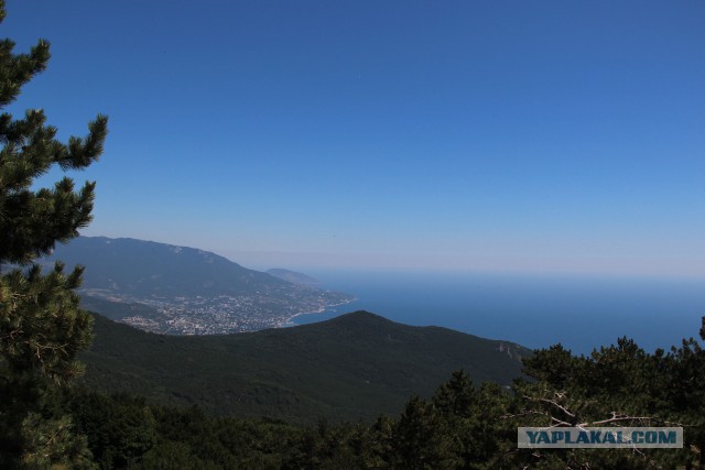Дворец графа Михаила Семёновича Воронцова в Алупке