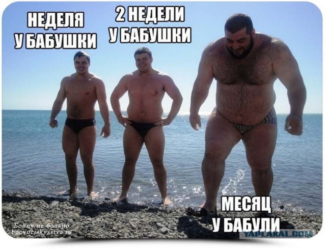 Прикольные фото и картинки