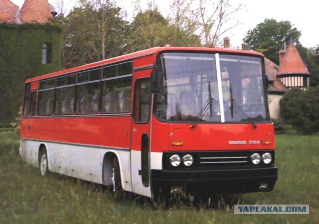 Икарус 260