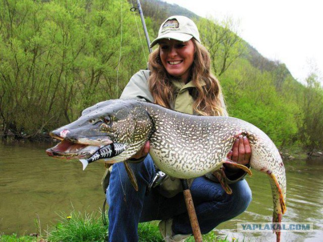 Гигантскую крысу нашли на детской площадке в Лондоне