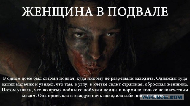 Тайга, страшные истории