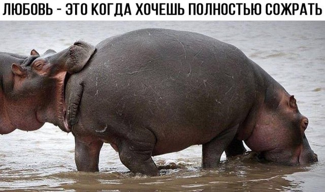 Смешные комментарии из социальных сетей 24.03.2017