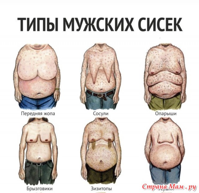 Типы мужских сисек