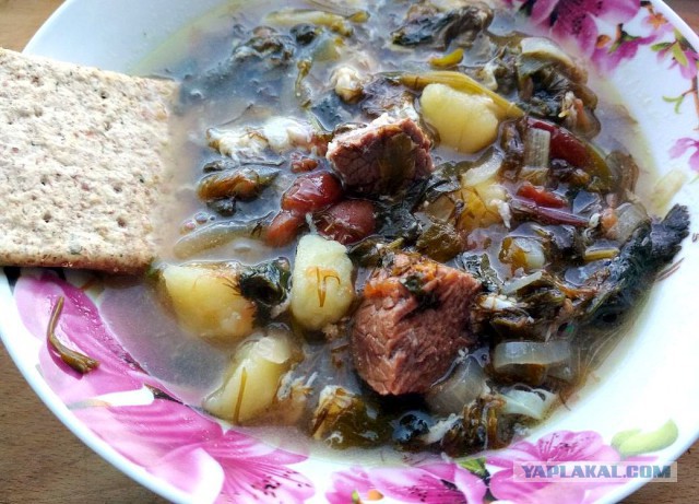 Кулинары поздравляют ЯП с днём рождения!