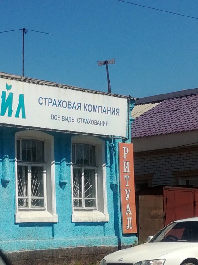 Картинки по-приколу