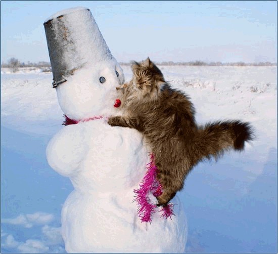 Любовь зла и... холодна