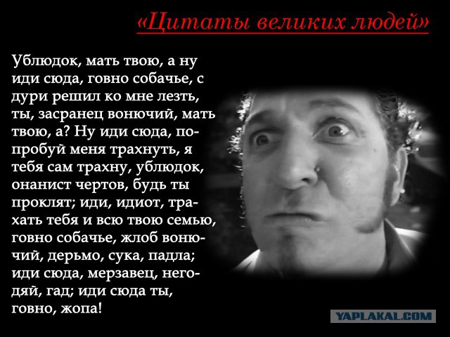 Великий, могучий, правдивый и свободный русский язык