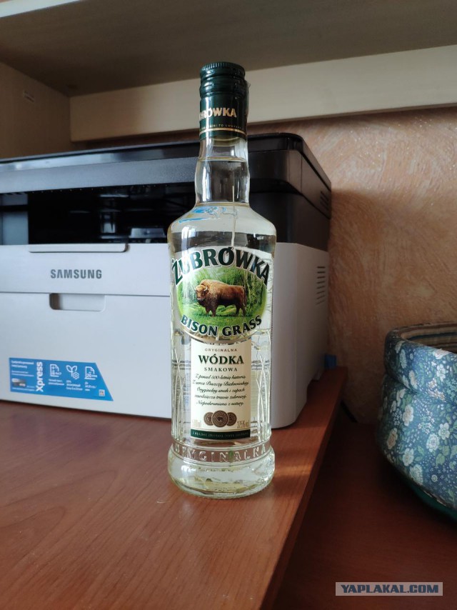 Норвежский колдырь передает привет весне
