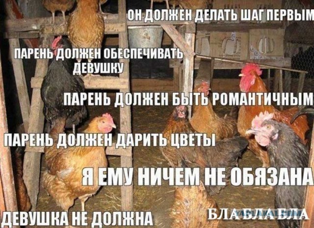 Мужчины совсем обмельчали и поэтому живут с удобными женщинами. А должны добиваться недоступных, которые на них даже не смотрят