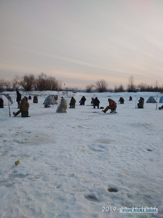 Рыбалка в минус, викторина в плюс!