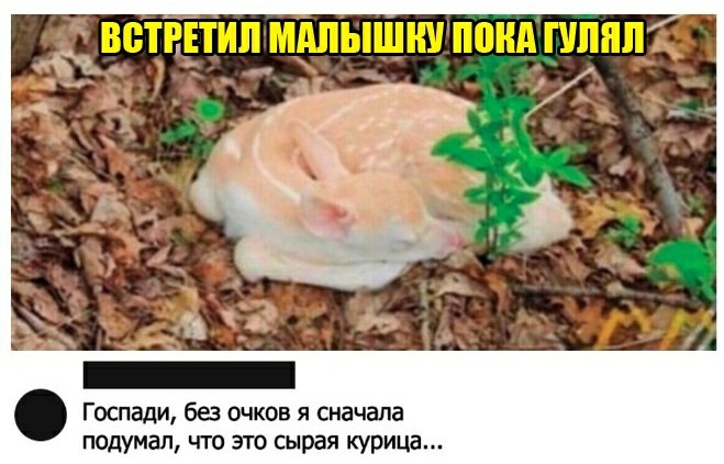 «Картинки разные нужны, картинки разные важны!»
