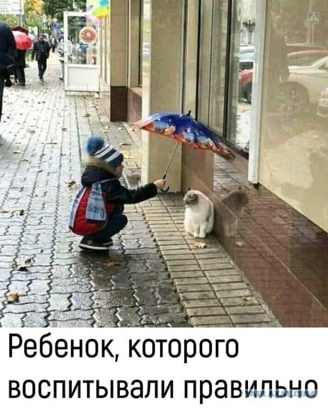 Немного всякого