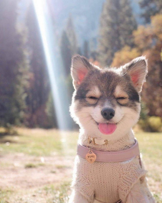 Подборка интересных и веселых картинок 27.04.20