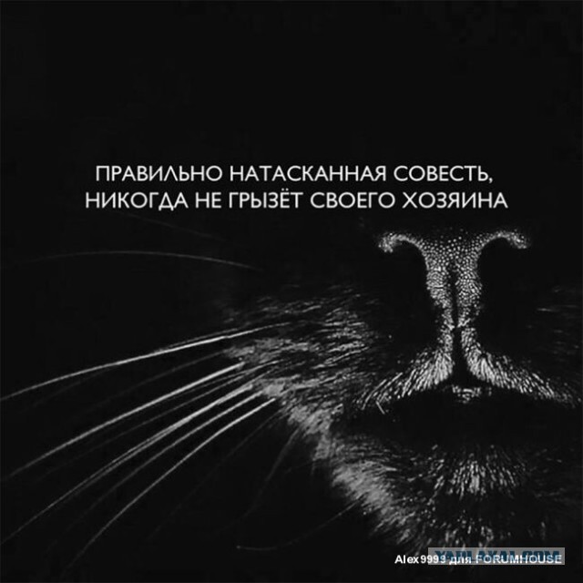 Про "спонтанный выход на улицы"