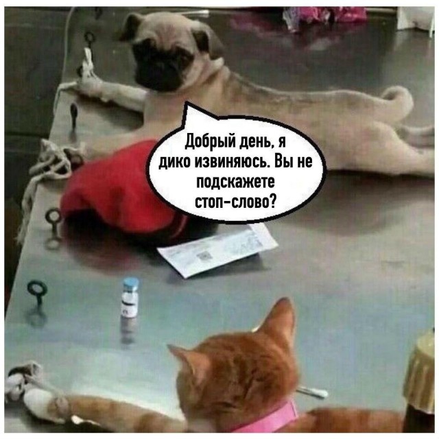 Эстетизм идиотизма