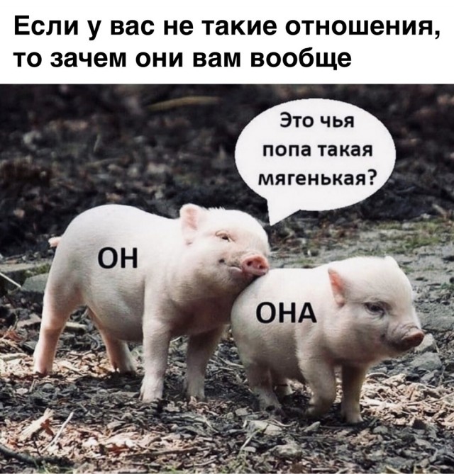 Сотня картинок для настроения 25.12.2020
