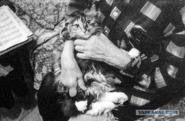 Руки из жопы или как я Сменой 8М фотографировал. Сравнение фотографий