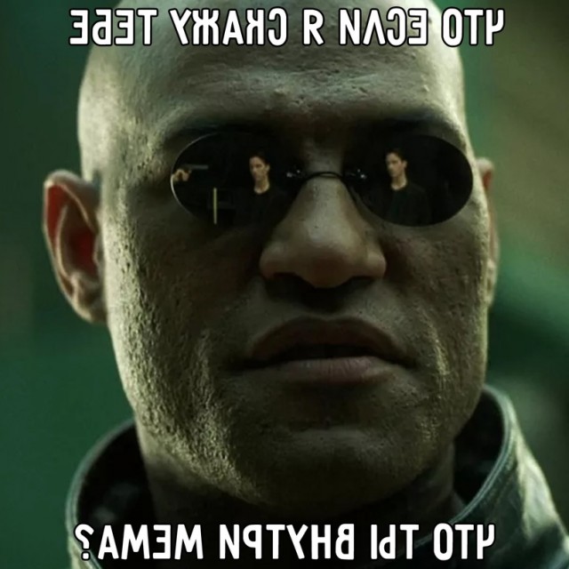 Весёлый полтишок 17.06.