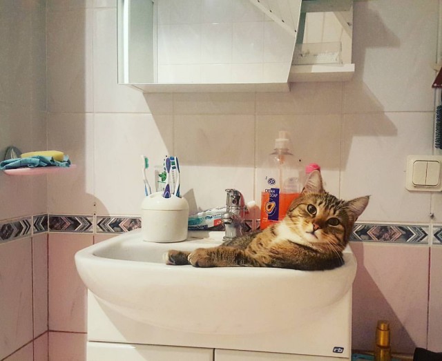 Сострадание