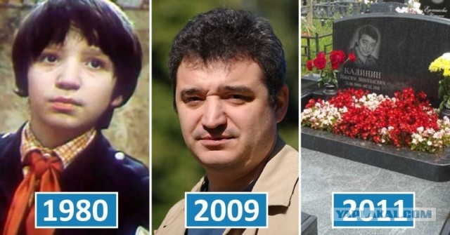 Электроник и Сыроежкин. 2021 год