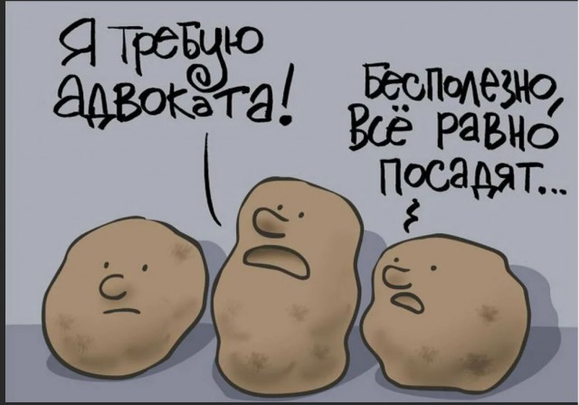 Пандемия. Коронавирус и съехавшие крыши. Россия и мир. Часть 32.